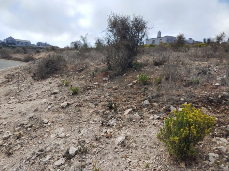 Commercial Property for Sale in Hoogland Western Cape